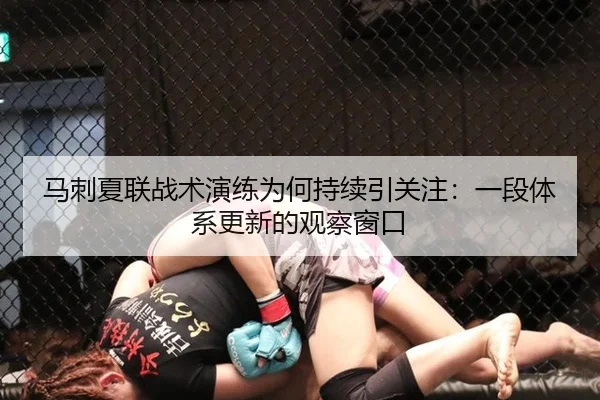 马刺夏联战术演练为何持续引关注：一段体系更新的观察窗口